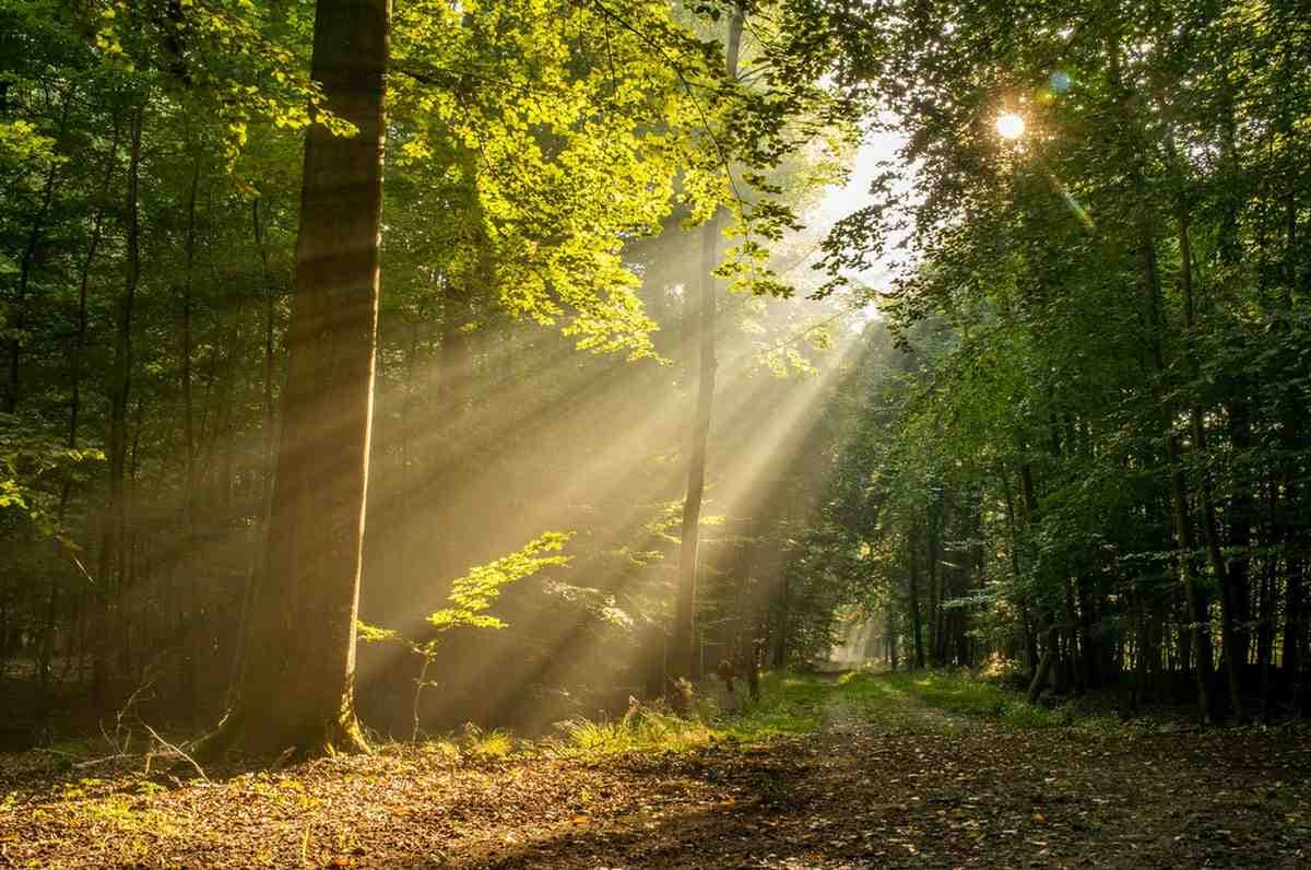 When Life Doesn’t Make Sense — Trusting That God Works All Things for Our Good